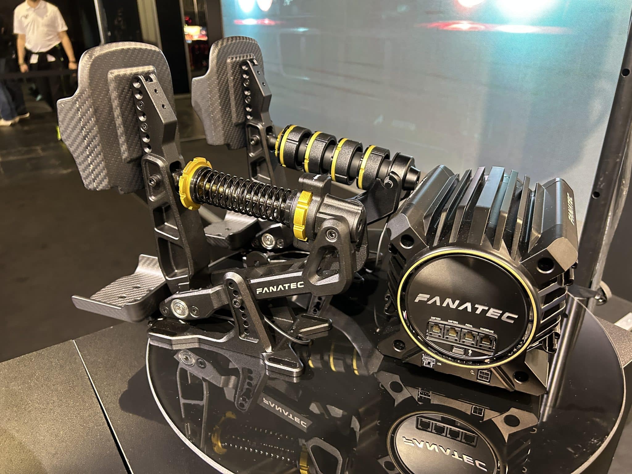 Fanatec Assetto Corsa Rally
