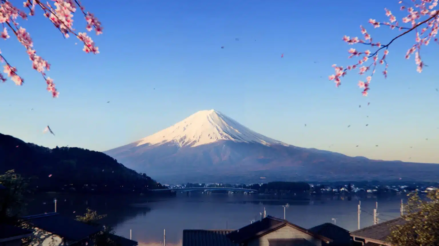 Le mont Fuji et un lac vus à travers des branches de cerisiers en fleurs dans Forza Horizon 6