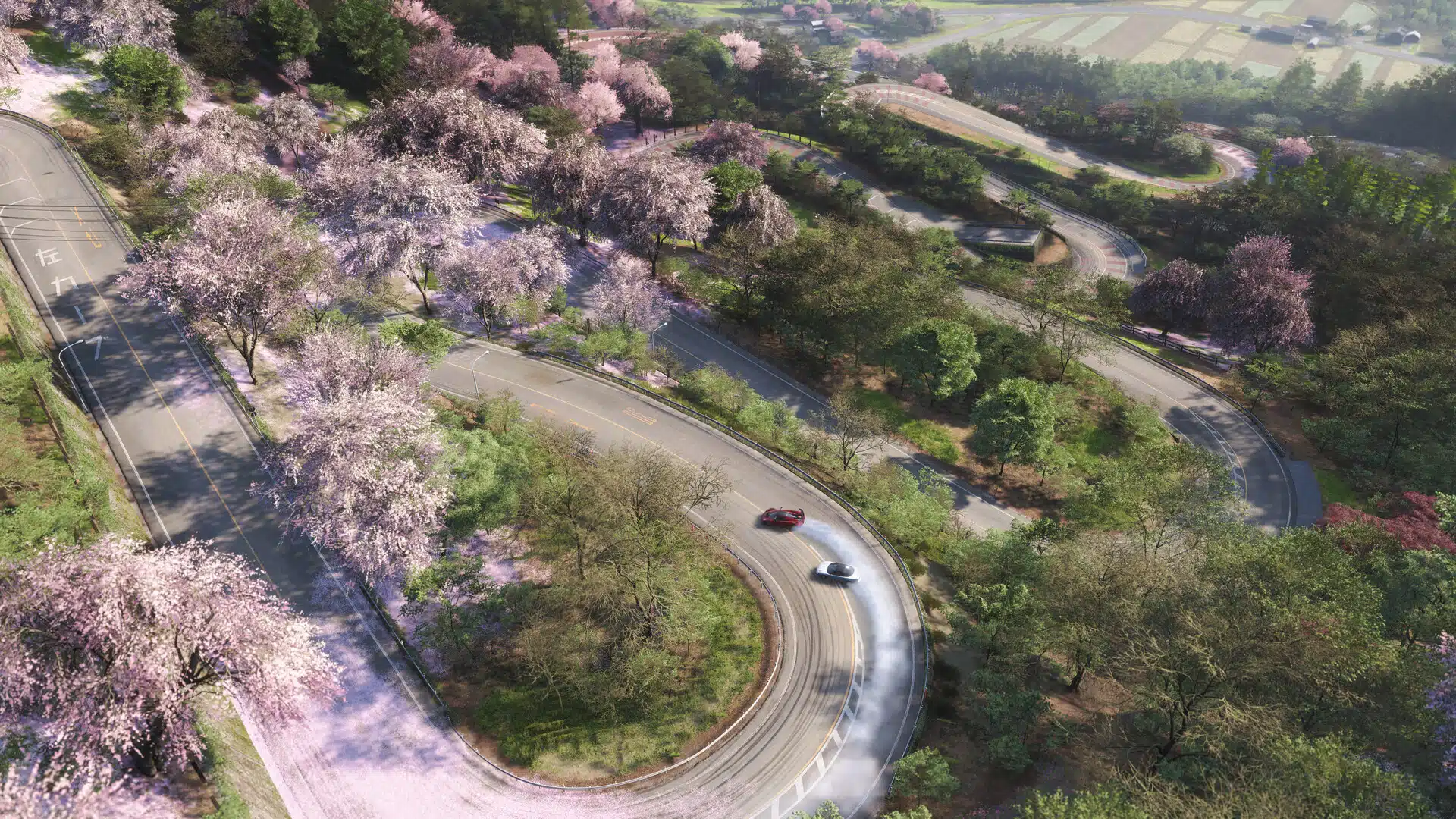 Route de montagne sinueuse bordée de cerisiers en fleurs dans Forza Horizon 6